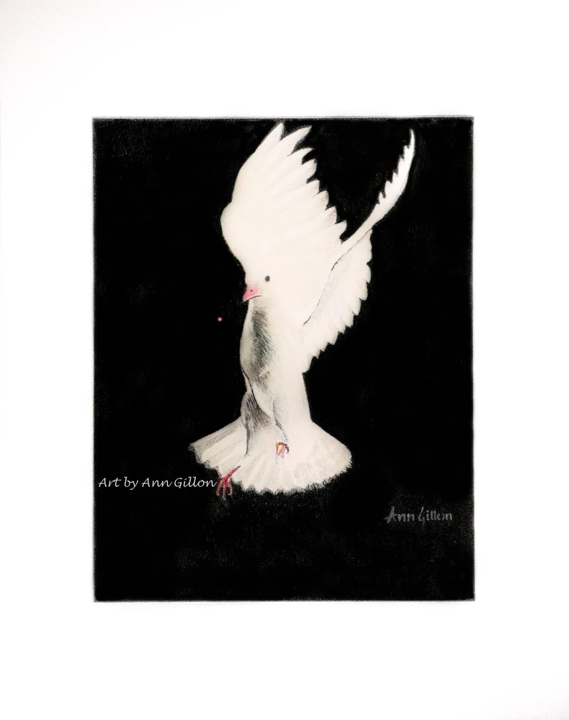 White Bird, painting by Ann Gillon