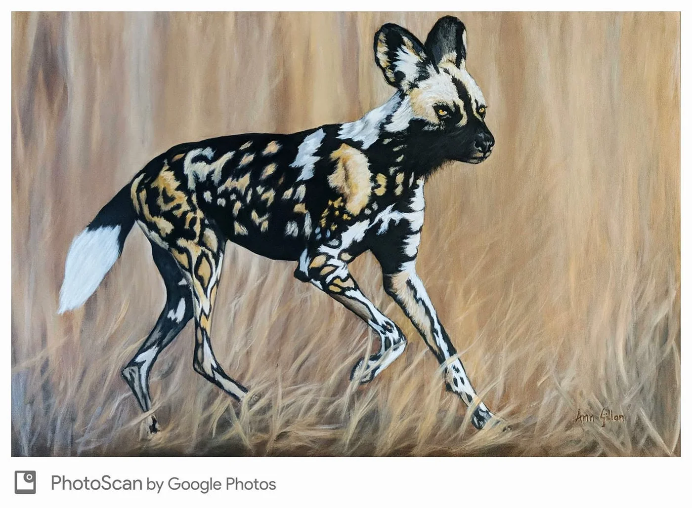 African Wild Dog, painting by Ann Gillon